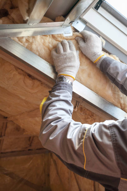 Best Commercial Insulation in Buenaventura Lakes, FL