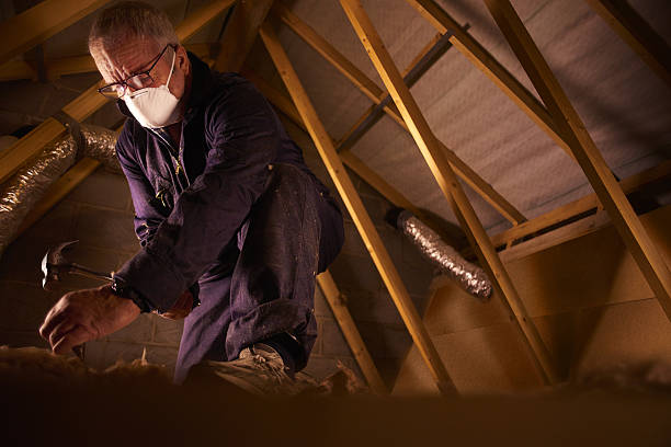 Best Insulation Installation Services in Buenaventura Lakes, FL